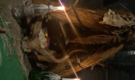 Most effective love spells +1(862) 626-6441 in Austin, TX Black magic cleansing.